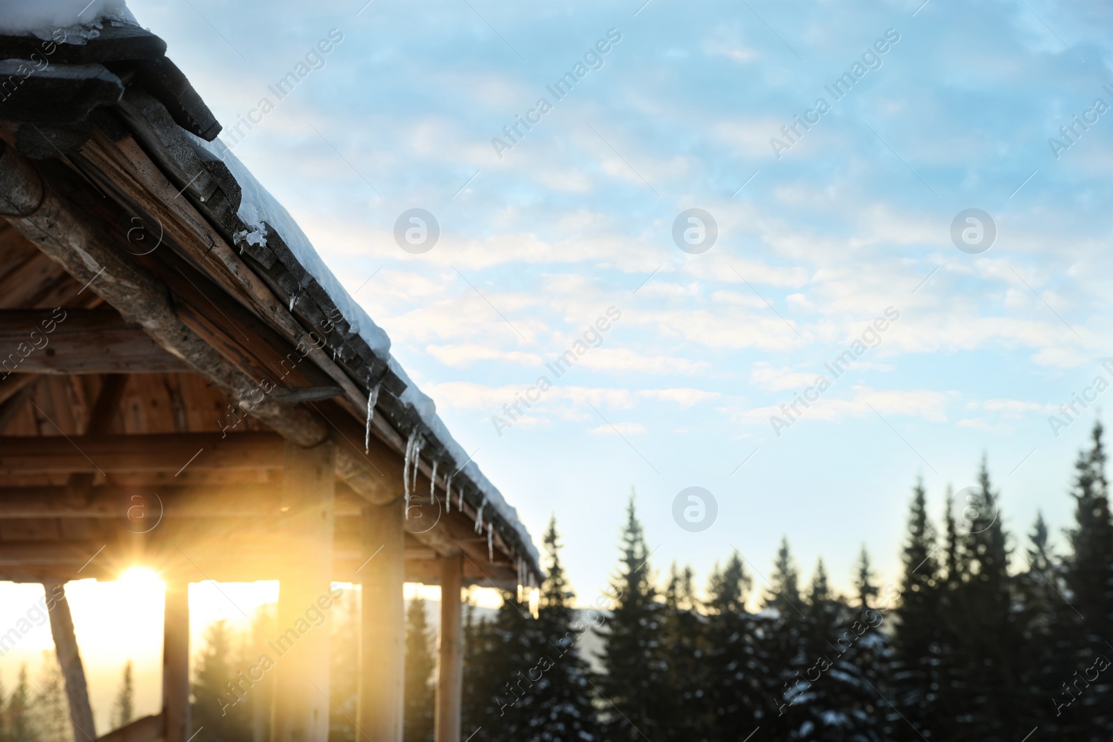 Photo of Wooden gazebo near snowy coniferous forest. Winter vacation