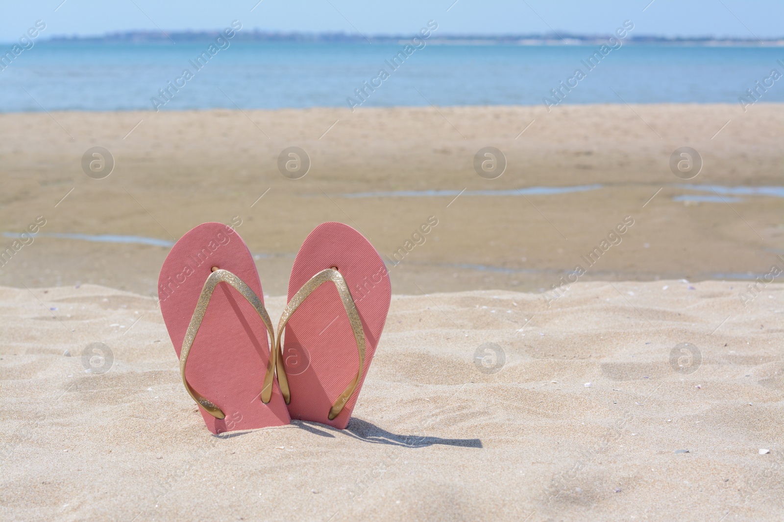 Photo of Stylish pink flip flops in sand near sea on sunny day