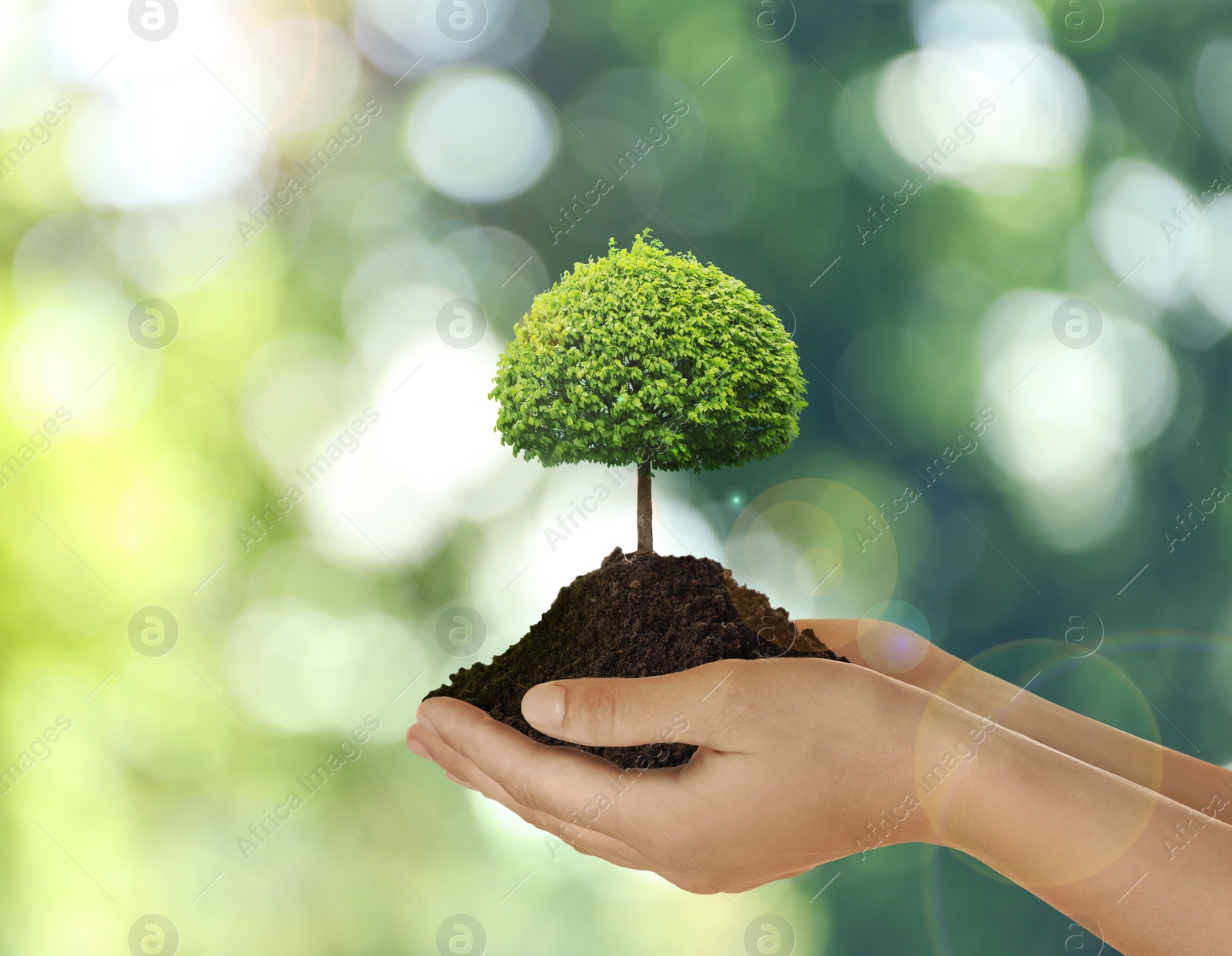 Image of Woman holding pile of soil with small tree on blurred green background, closeup. Eco friendly lifestyle 