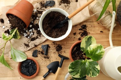 Houseplants and gardening tools on wooden table, flat lay