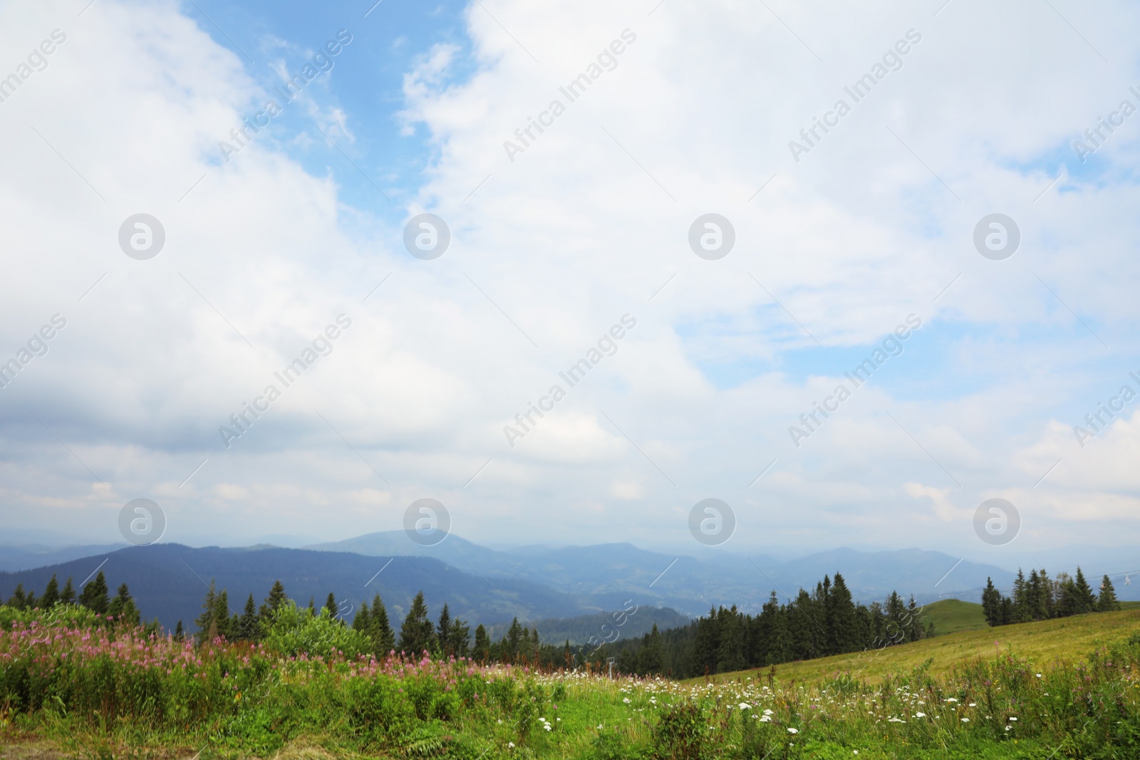 Photo of Picturesque landscape with mountain meadow