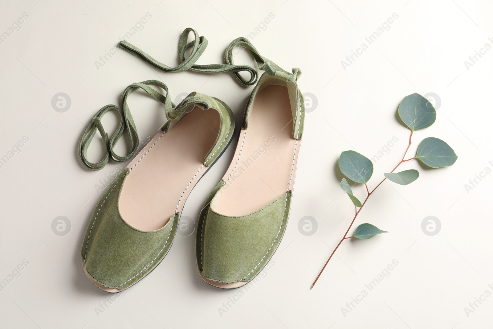 Photo of Pair of trendy women's shoes and twig on color background