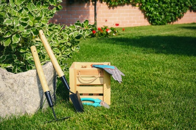 Photo of Set of gardening tools and wooden crate on green grass