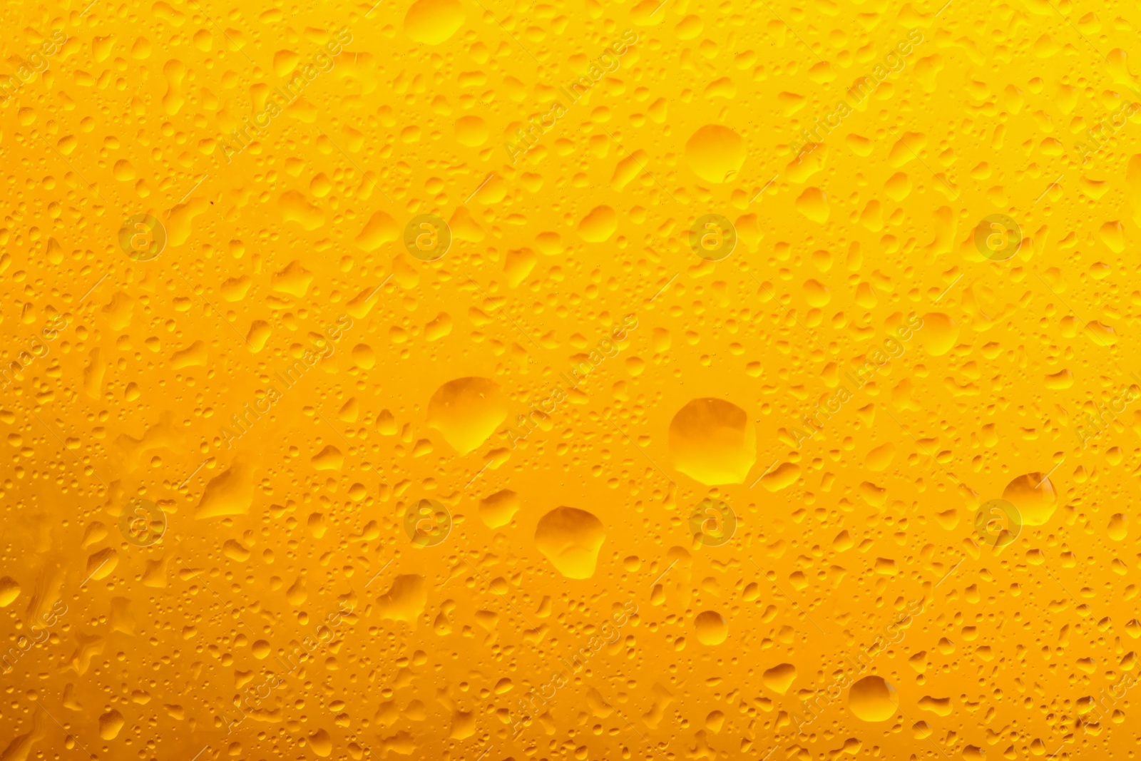 Photo of Glass of tasty cold beer with condensation drops as background, closeup