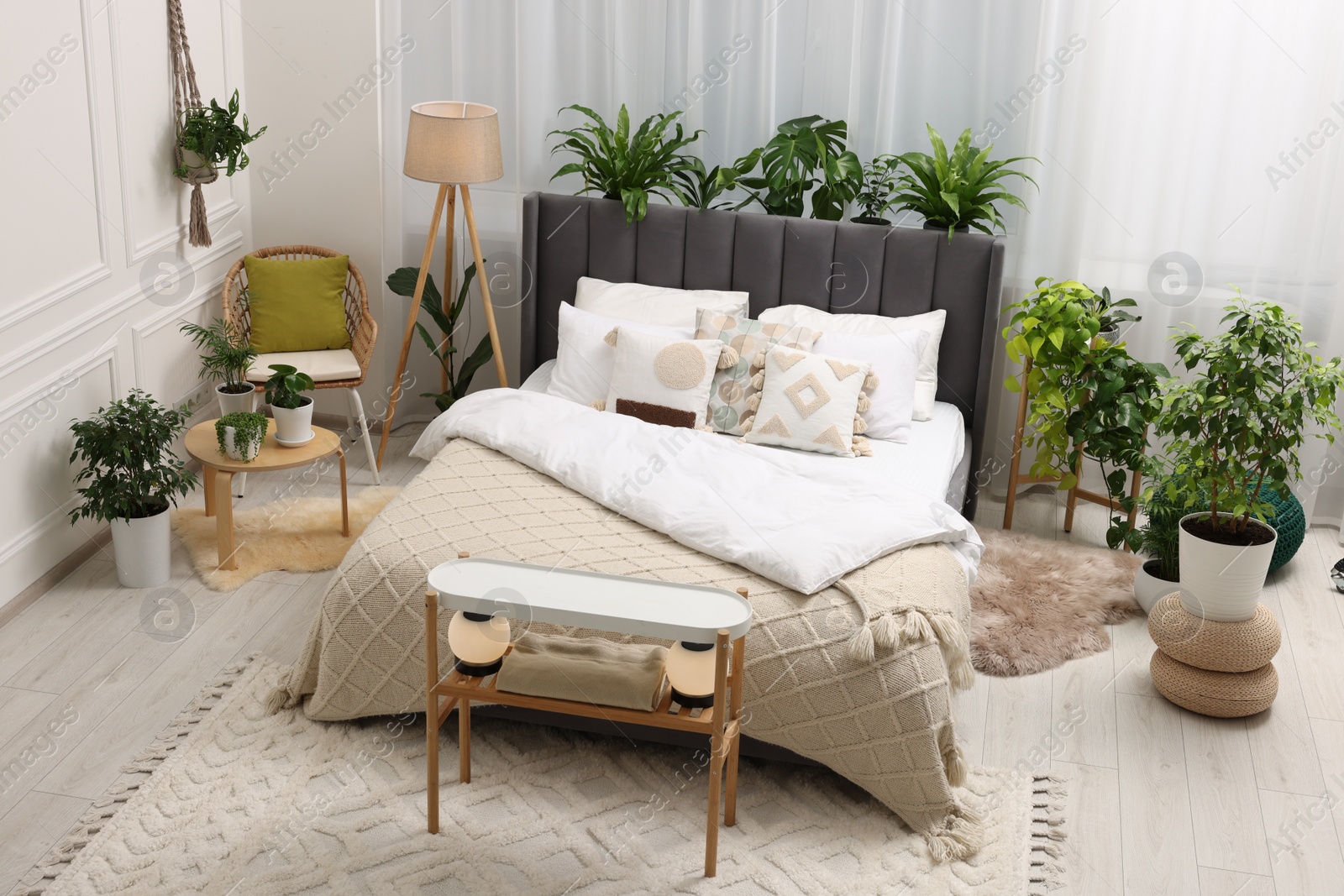 Photo of Large comfortable bed, lamp and beautiful houseplants in bedroom. Interior design