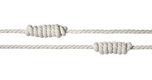 Photo of Two hemp ropes with knots isolated on white