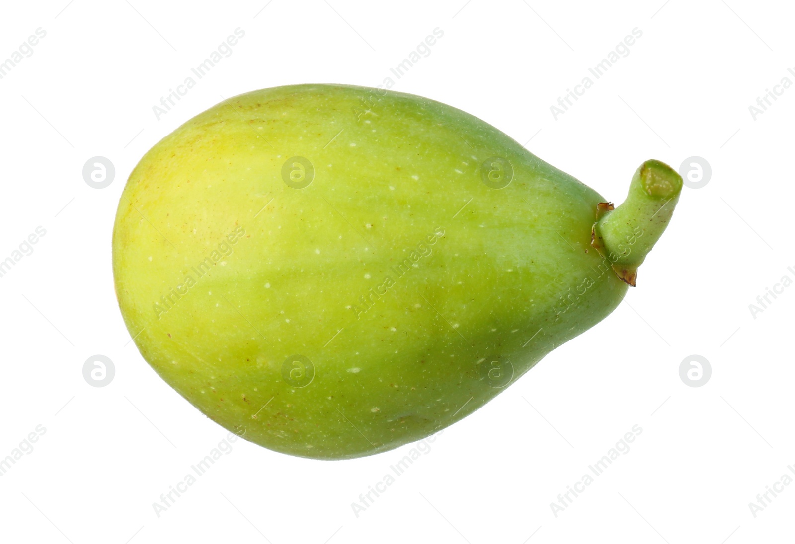 Photo of One fresh green fig isolated on white