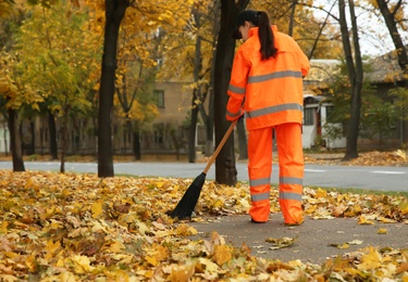 Street cleaner sweeping fallen leaves outdoors on autumn day, back view