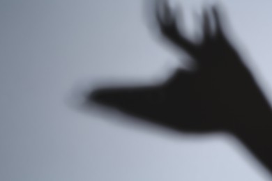 Photo of Shadow of hands like deer on grey background. Space for text