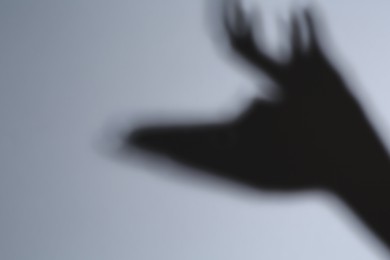 Shadow of hands like deer on grey background. Space for text