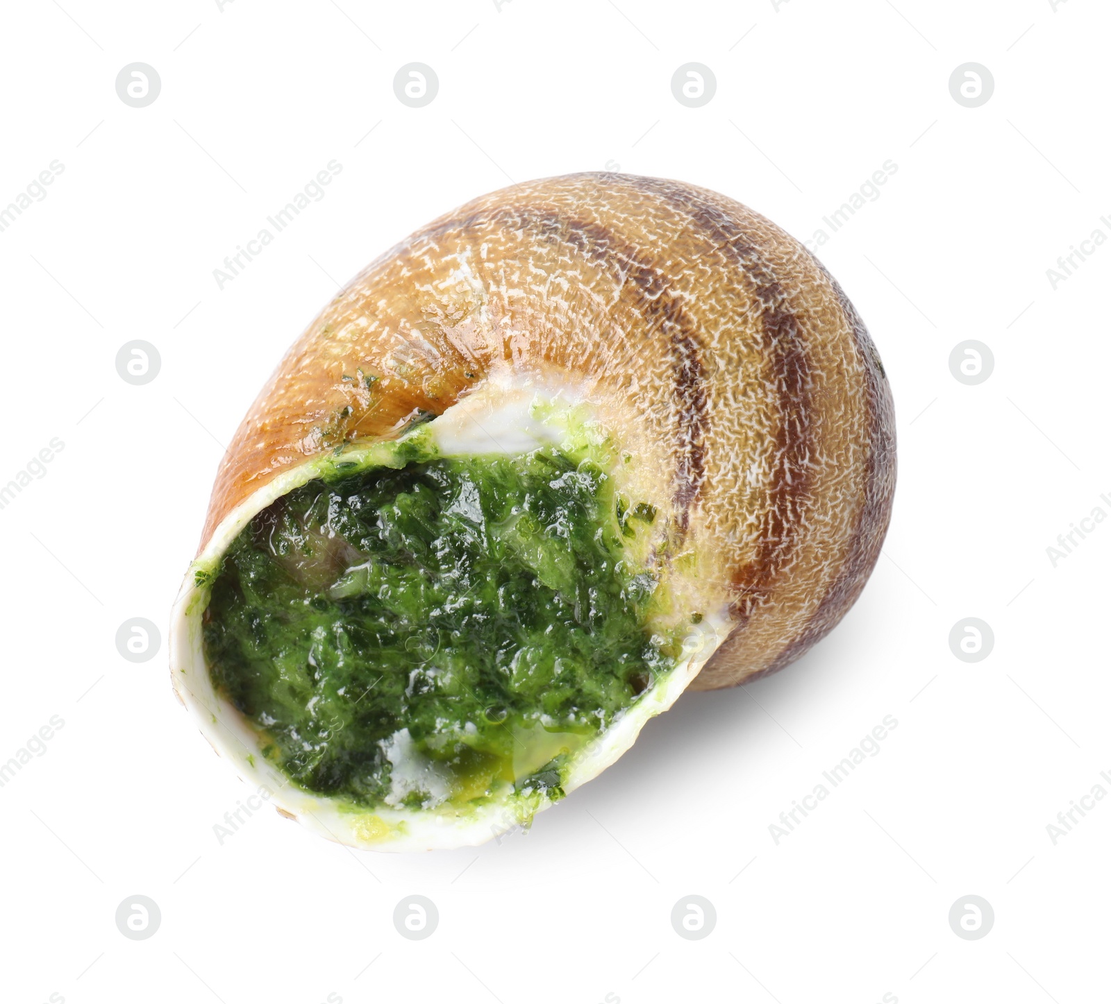 Photo of One delicious cooked snail isolated on white, top view