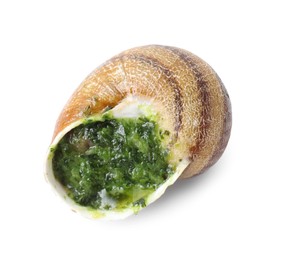 Photo of One delicious cooked snail isolated on white, top view