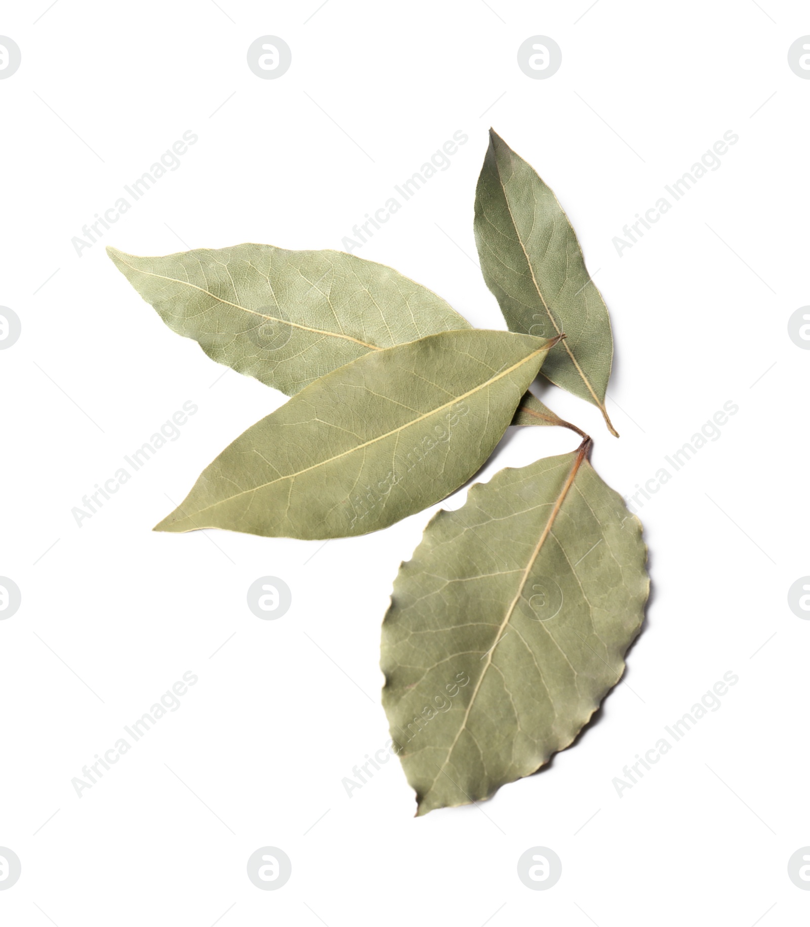 Photo of Aromatic bay leaves on white background, top view