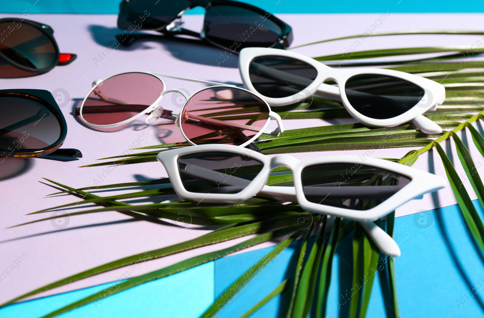 Photo of Stylish sunglasses and tropical leaf on color background. Vacation time