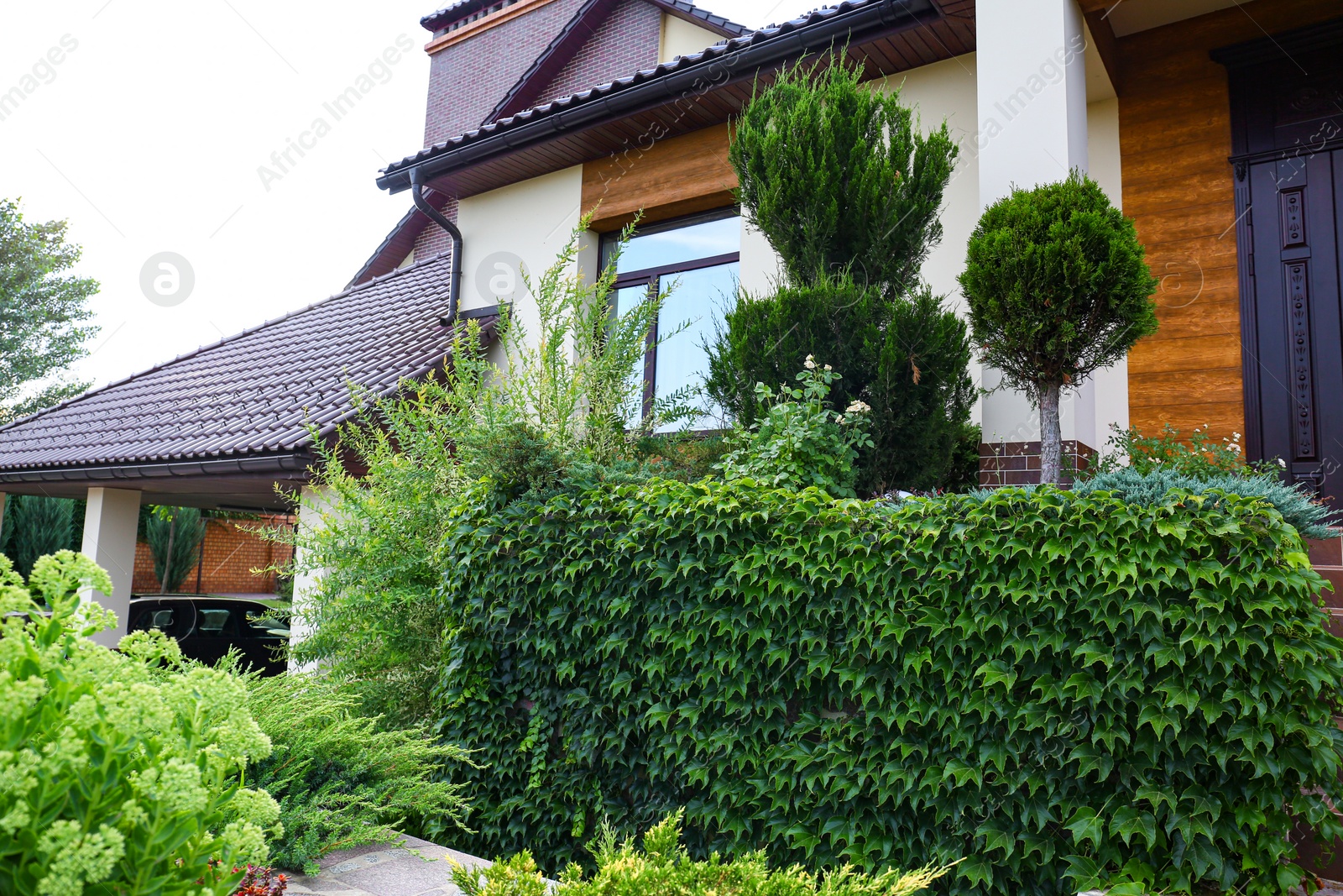 Photo of Beautiful landscape with green garden near modern house on summer day