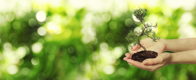 Image of Woman holding small tree in soil on blurred green background, banner design with space for text. Ecology protection