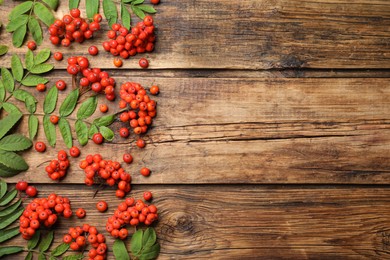 Photo of Fresh ripe rowan berries and green leaves on wooden table, flat lay. Space for text