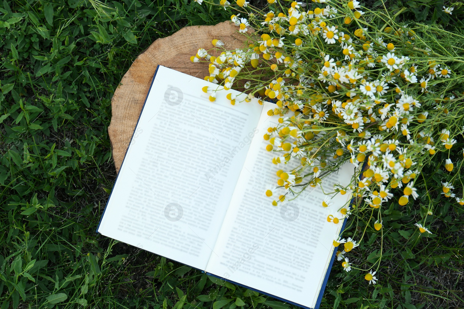 Photo of Open book and chamomiles on wooden stump outdoors, flat lay