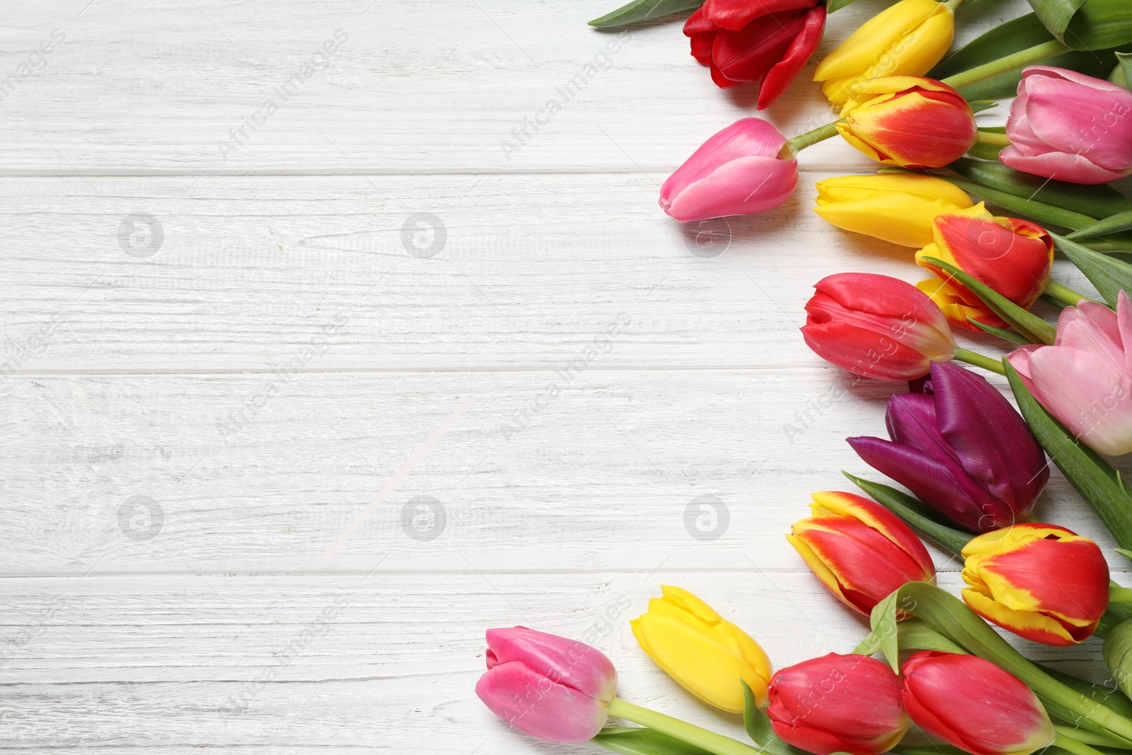 Photo of Beautiful spring tulips on white wooden table, flat lay. Space for text