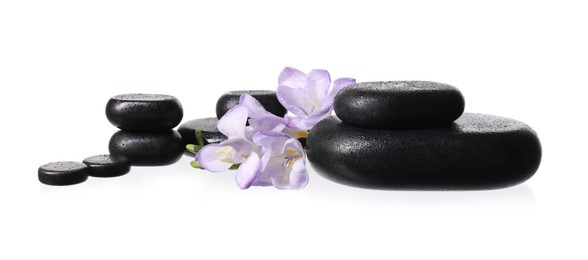 Photo of Beautiful violet freesia flowers and stones isolated on white