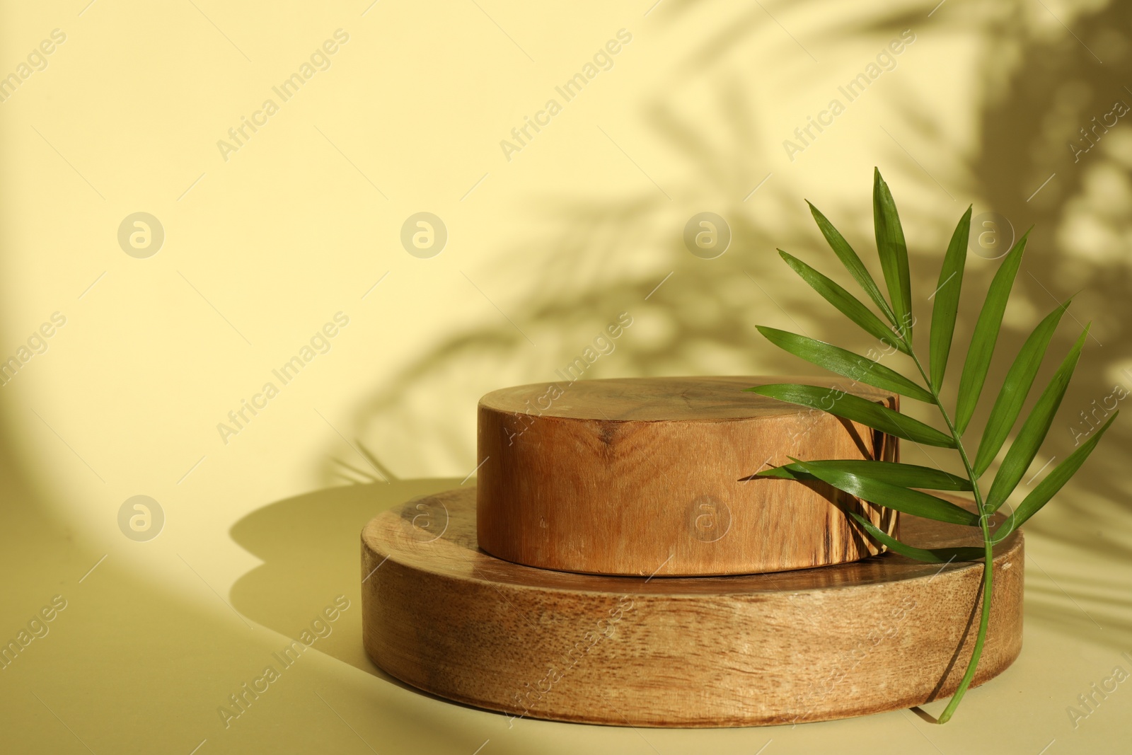 Photo of Presentation of product. Wooden podiums and palm leaf on yellow background. Space for text