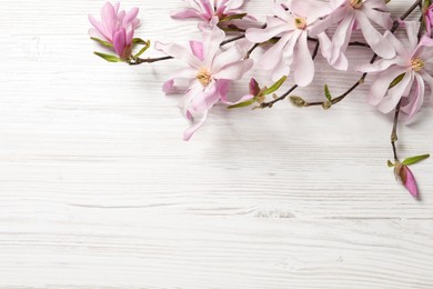 Magnolia tree branches with beautiful flowers on white wooden table, flat lay. Space for text