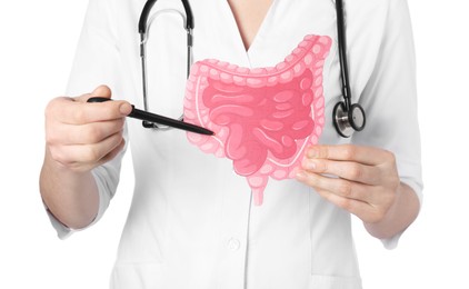 Photo of Doctor showing paper intestine cutout on white background, closeup