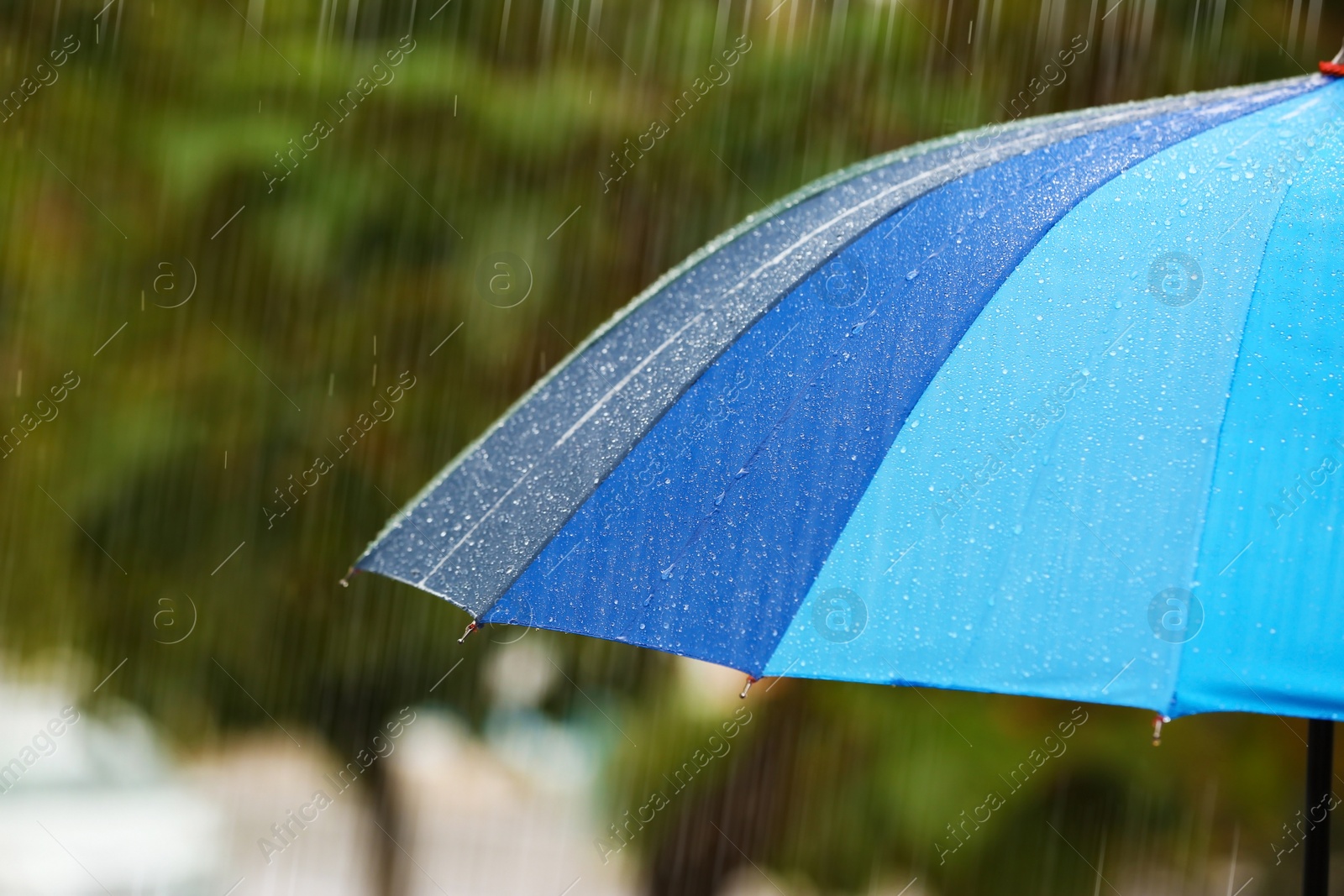 Photo of Bright umbrella under rain on street, closeup