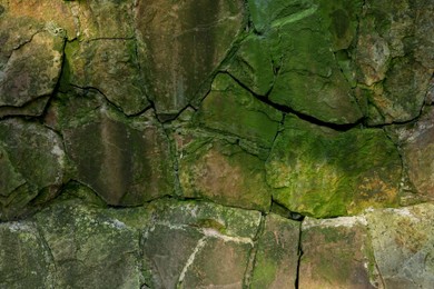 Photo of Stone wall overgrown with green moss outdoors, closeup