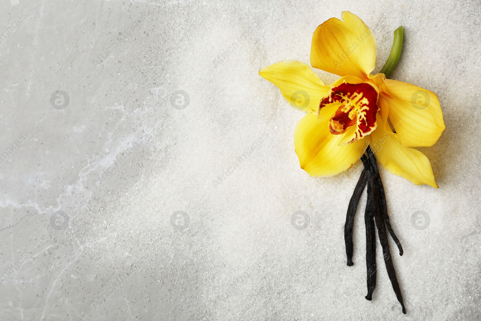 Photo of Vanilla sugar with flower and sticks on grey background