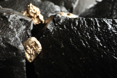 Photo of Shiny gold nuggets on wet stones, closeup