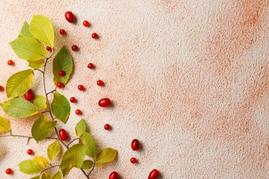 Photo of Branch of autumn leaves and red berries on color background, flat lay. Space for text