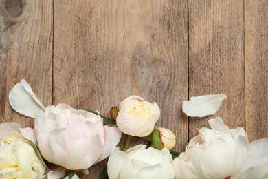 Photo of Beautiful peonies on wooden background, flat lay. Space for text