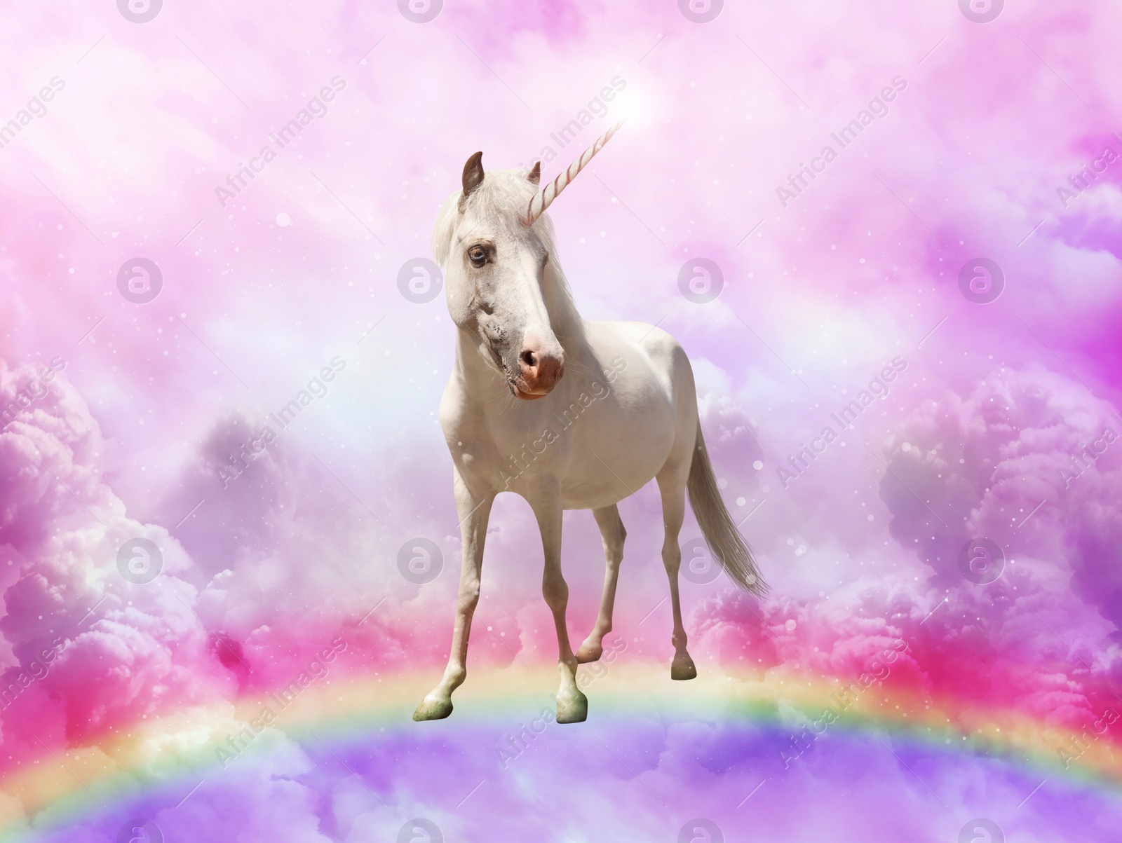 Image of Magic unicorn in beautiful sky with rainbow and fluffy clouds. Fantasy world