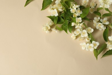 Aromatic jasmine flowers and green leaves on beige background, flat lay. Space for text