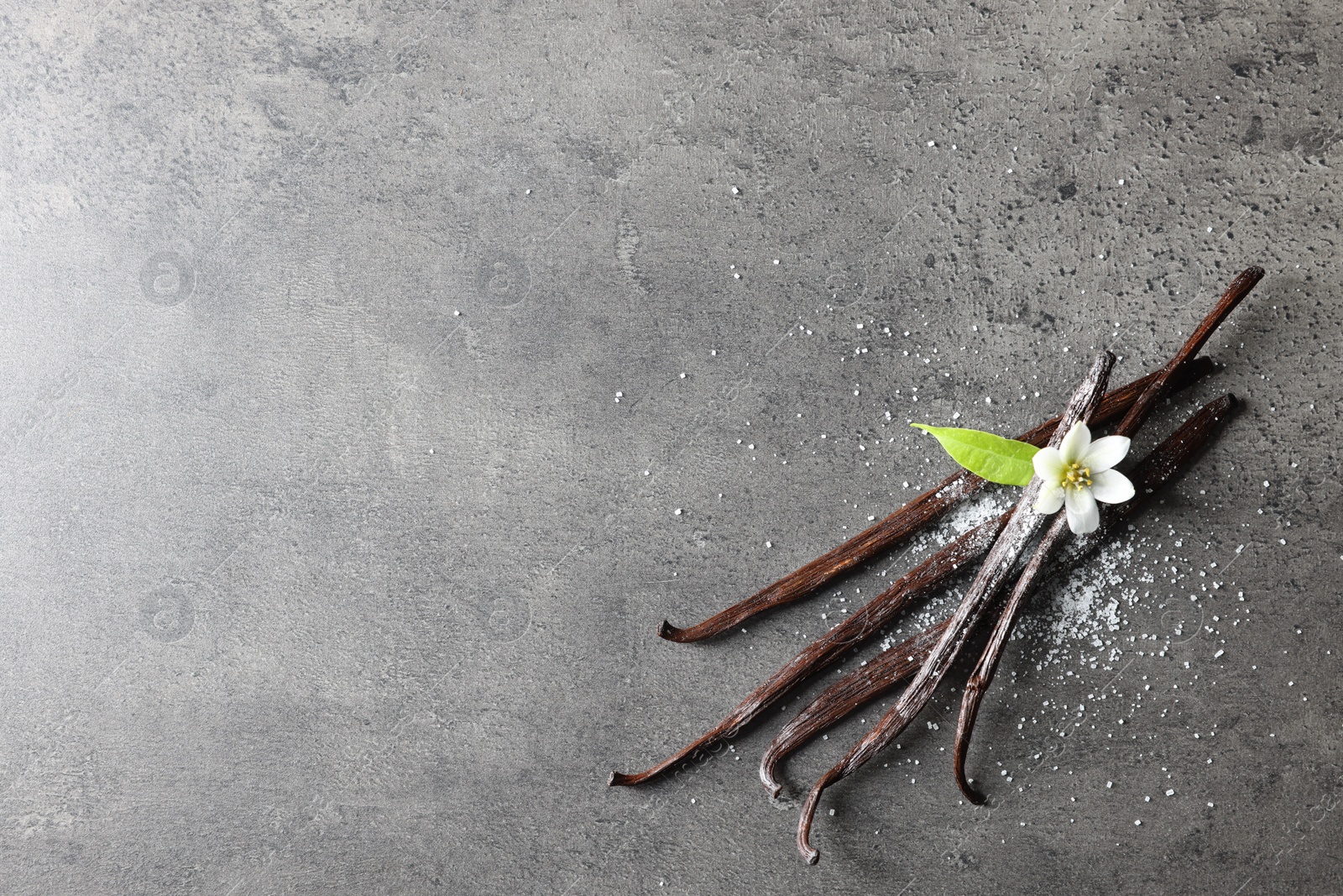 Photo of Vanilla pods, leaf and flower on grey textured table, top view. Space for text