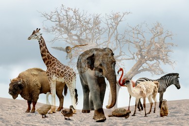Image of Double exposure of different animals and dry tree among parched soil. Global warming, climate change