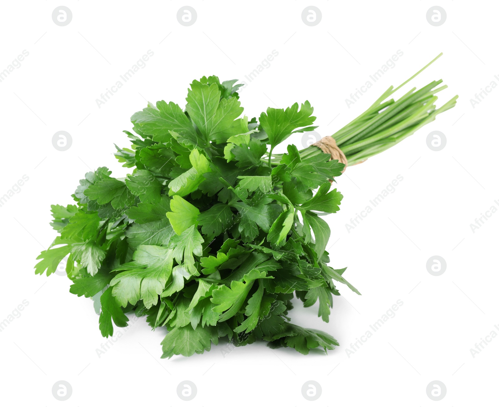 Photo of Bunch of fresh green parsley isolated on white