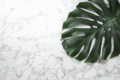 Photo of Green fresh monstera leaf on marble background, top view with space for text. Tropical plant