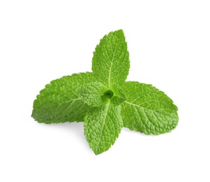 Photo of Fresh mint plant with green leaves isolated on white