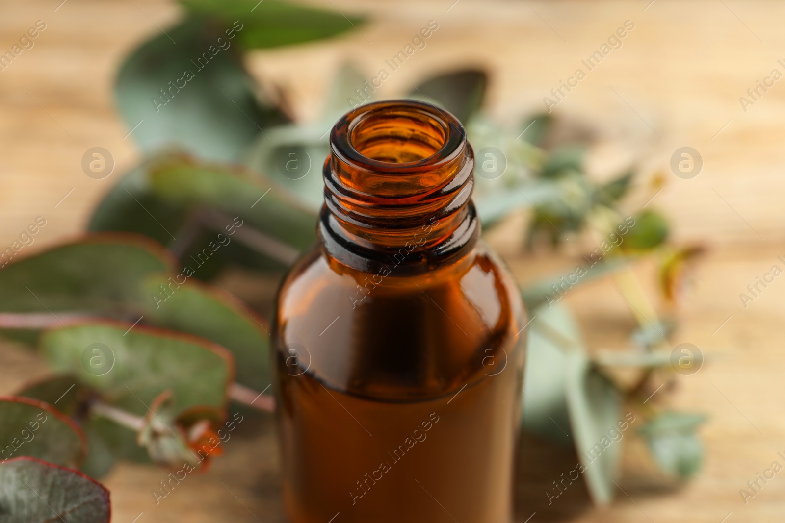 Photo of Bottle of eucalyptus essential oil and leaves on wooden table, closeup