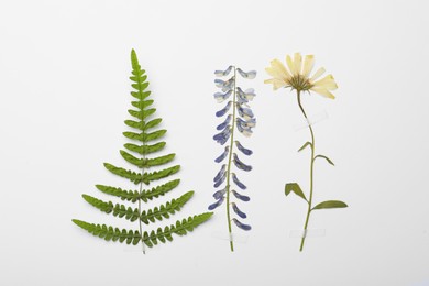 Photo of Pressed dried flowers and fern leaf on white background, flat lay. Beautiful herbarium