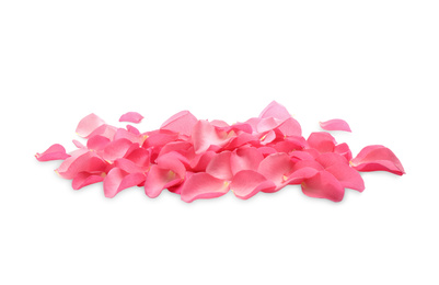 Photo of Pile of fresh pink rose petals on white background