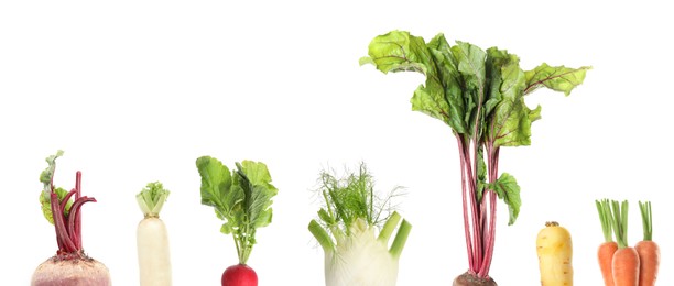 Collage with different root vegetables on white background