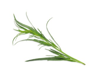 Photo of One sprig of fresh tarragon on white background, top view