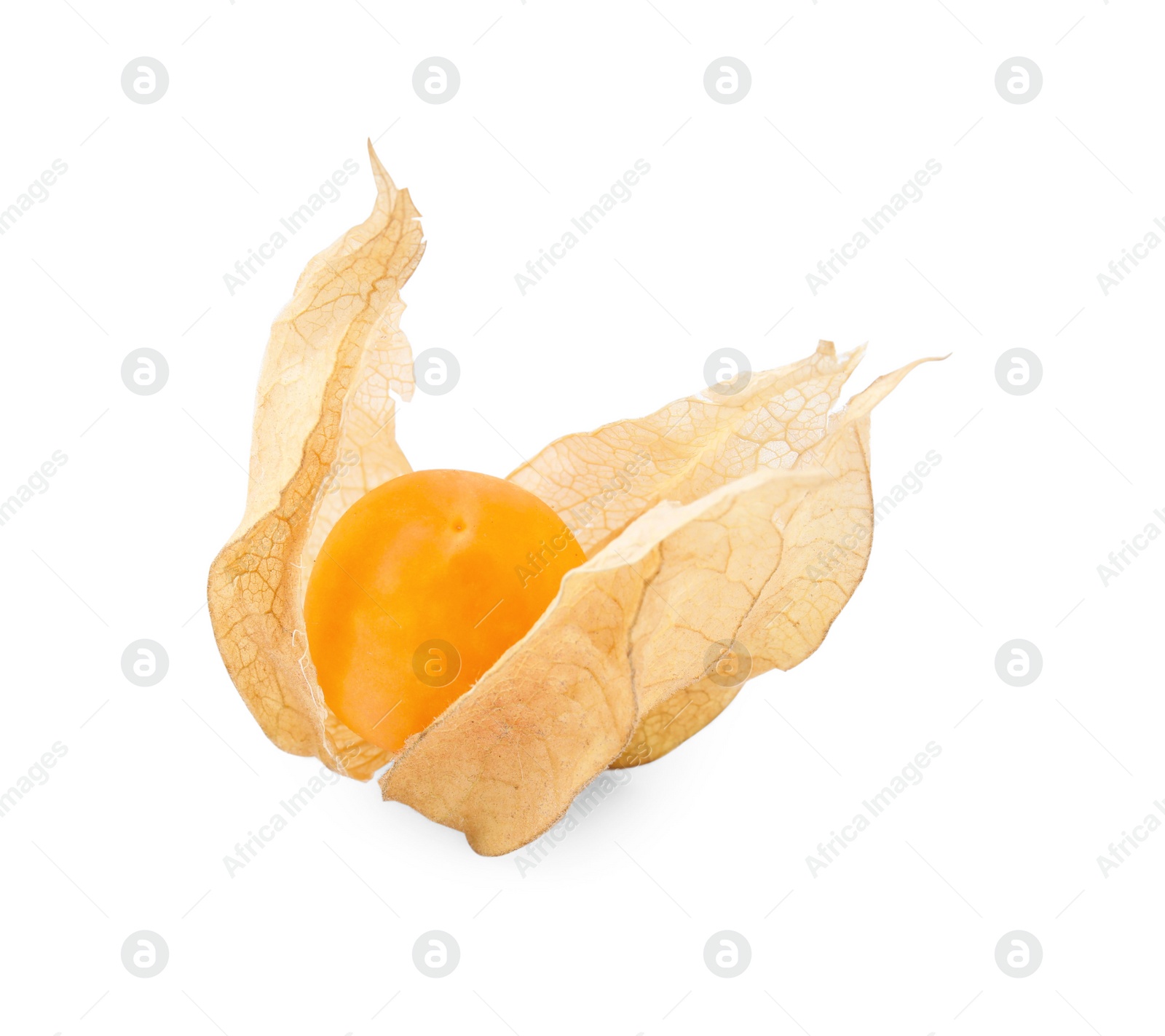 Photo of Ripe physalis fruit with calyx isolated on white