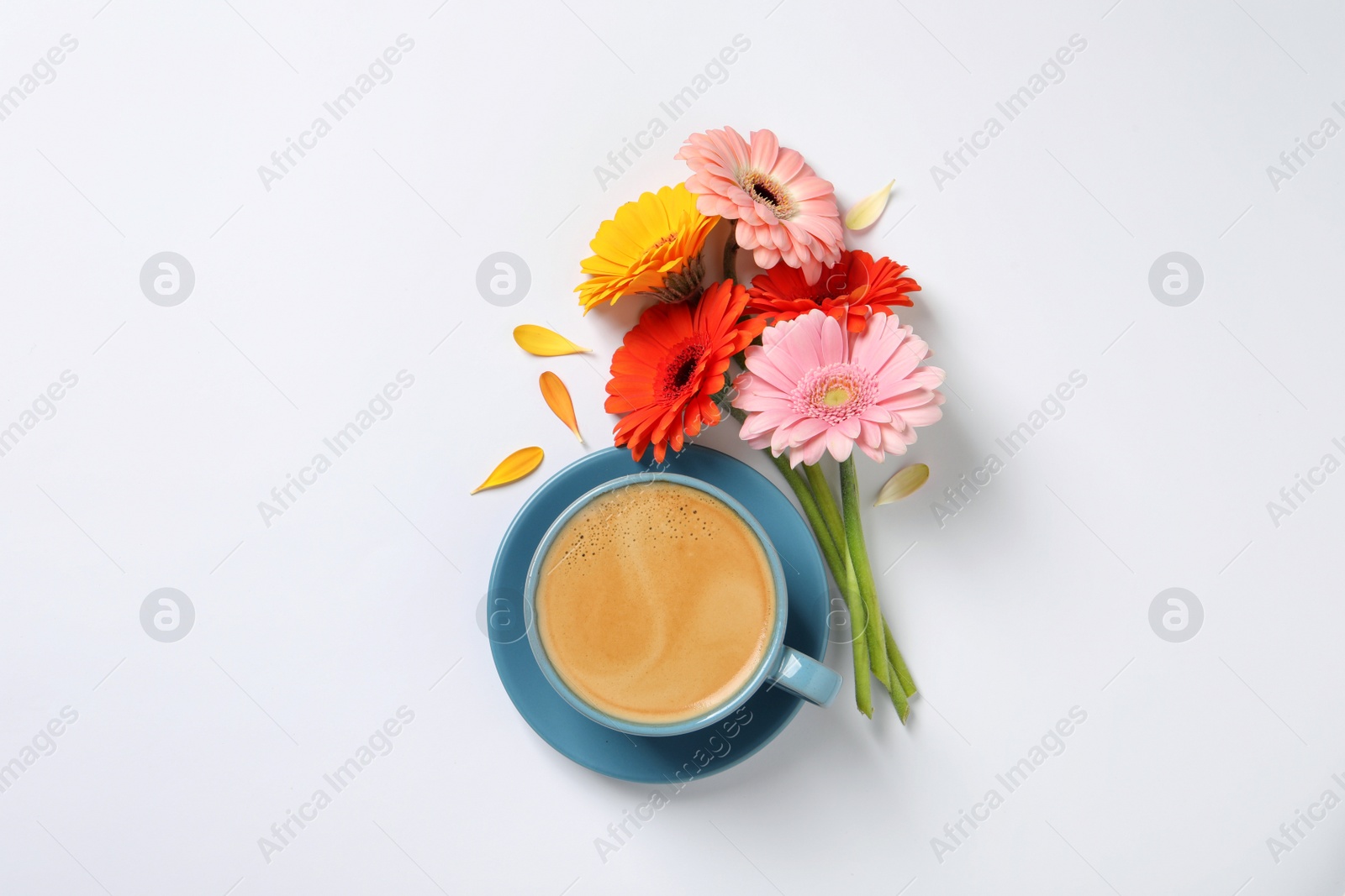Photo of Beautiful colorful gerbera flowers, petals and cup of coffee on white background, flat lay