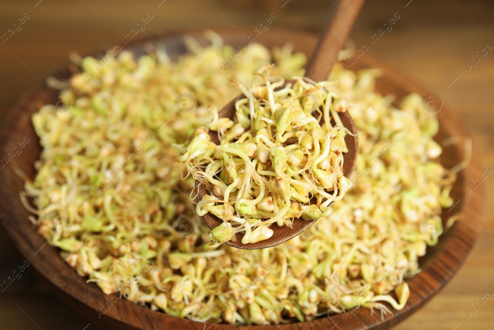 Photo of Wooden spoon with sprouted green buckwheat over plate, closeup