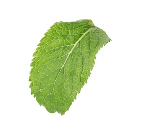Photo of Fresh green mint leaf on white background
