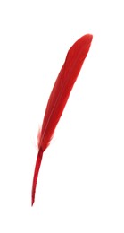 Photo of Fluffy beautiful red feather isolated on white